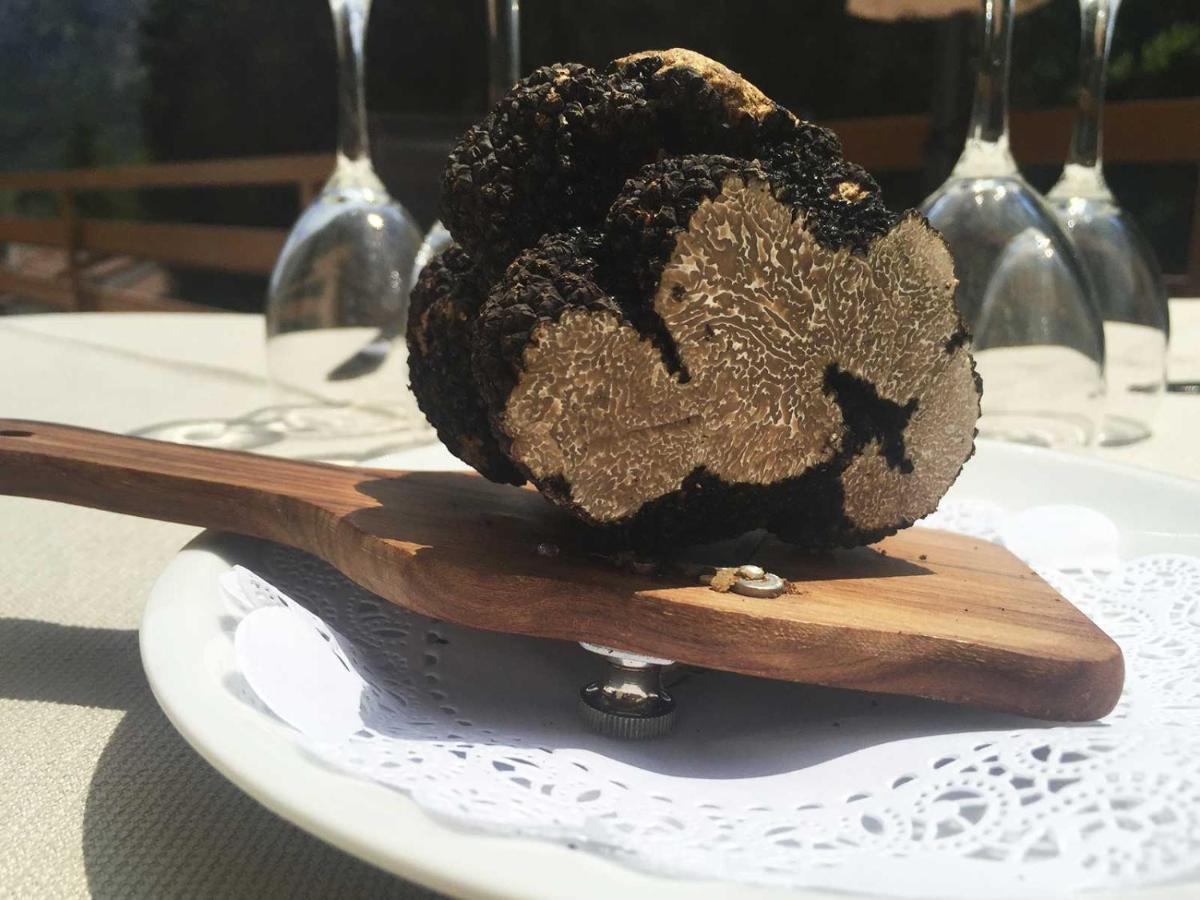 San Carlo 3*